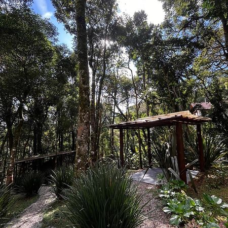 Refugio Familiar Em Monte Verde Monte Verde  Zewnętrze zdjęcie